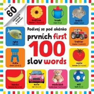 Prvních 100 slov