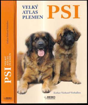 Psi
