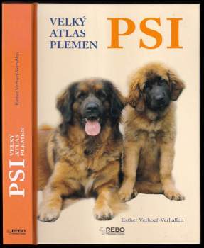 Psi