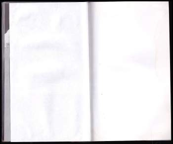 Marie-Jean Sauret: Psychoanalýza