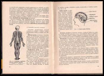 Jozef Štefanovič: Psychologie