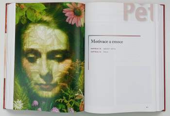Rita L Atkinson: Psychologie