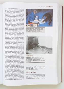 Rita L Atkinson: Psychologie