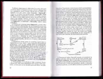 Sigmund Freud: Psychopatologie všedního života