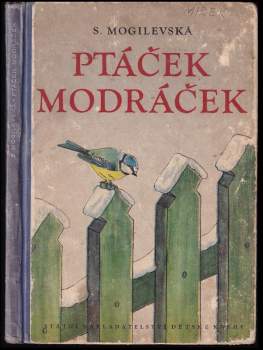 Ptáček modráček