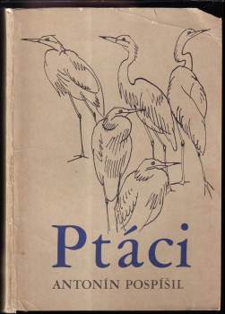 Antonín Pospíšil: Ptáci