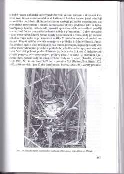 Karel Šťastný: Ptáci - Aves
