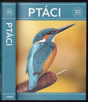 Ptáci
