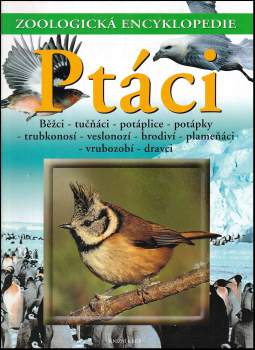 Ptáci