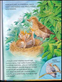 Friederun Reichenstetter: Ptáci