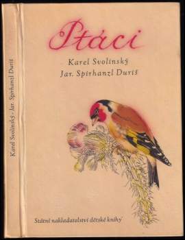 Ptáci