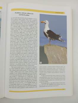 Jiří Felix: Ptáci