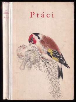 Ptáci