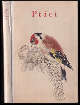 Ptáci