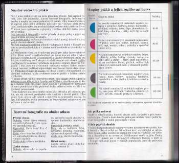 Detlef Singer: Ptáci