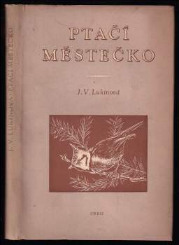 Jelizaveta Vjačeslavovna Lukina: Ptačí městečko