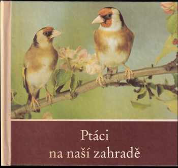 Ptáci na naší zahradě