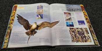 David Burnie: Ptáci - obrazová encyklopedie ptáků celého světa