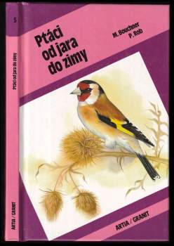 Ptáci od jara do zimy