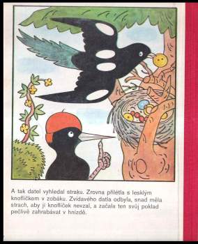 Heda Průchová: Ptačí pohádka