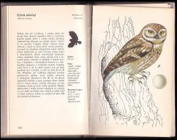 Jiří Felix: Ptáci v zahradě a na poli