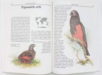 Evžen Kůs: Ptáci v zoo