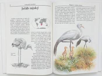 Evžen Kůs: Ptáci v zoo