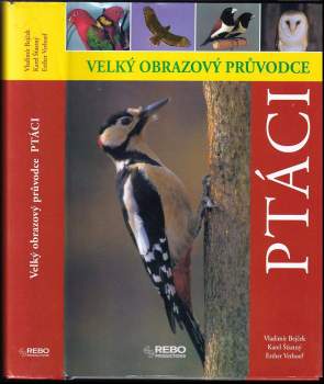 Ptáci