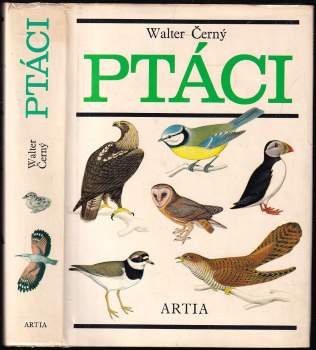 Walter Černý: Ptáci