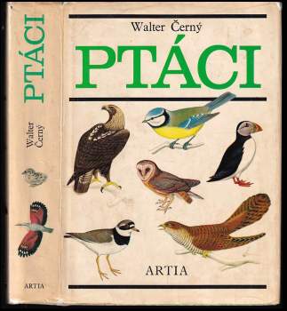 Ptáci