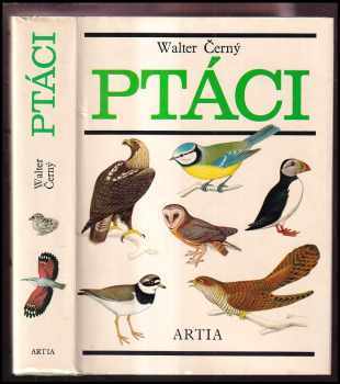 Ptáci