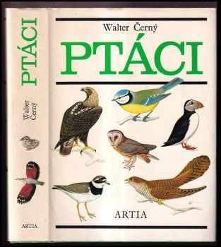 Ptáci