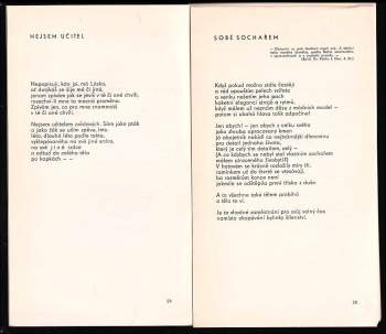 Jan Kameník: Pubertální Henoch