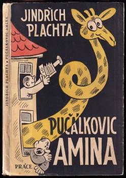 Pučálkovic Amina