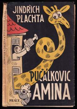 Pučálkovic Amina