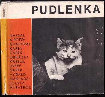 Pudlenka