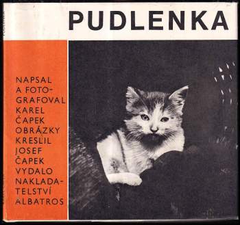 Pudlenka
