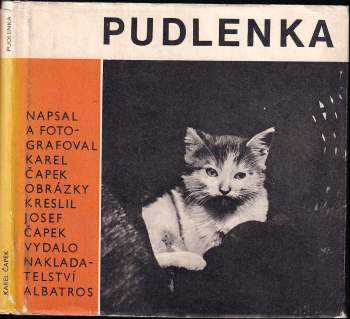 Pudlenka