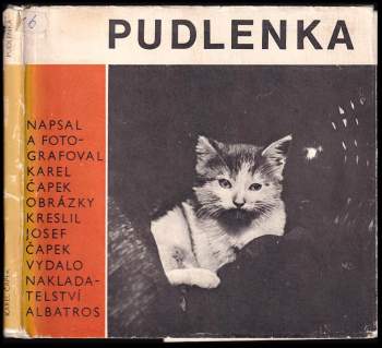 Karel Čapek: Pudlenka