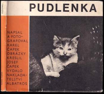 Pudlenka