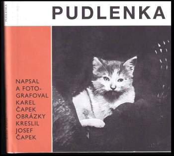 Pudlenka