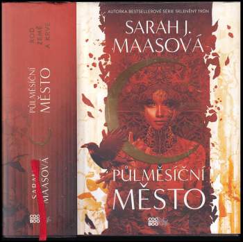 Sarah J Maas: Půlměsíční město