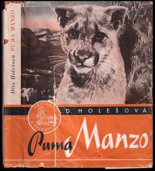 Ditha Holesch: Puma Manzo