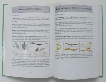 Jarmila Podhorná: Pupeny léčí