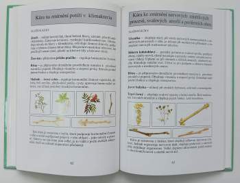 Jarmila Podhorná: Pupeny léčí