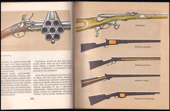 Vladimír Rogl: Puška