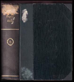 Charles Dickens: Pustý dům