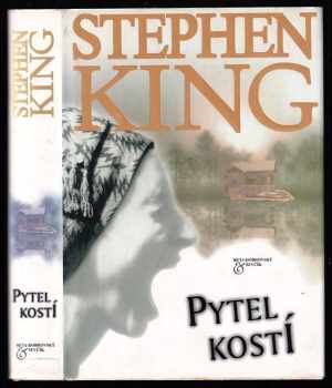 Stephen King: Pytel kostí