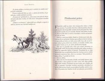 Aleš Dostál: Pytlácké povídky