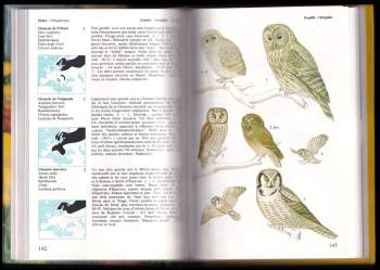Walter Černý: Quel est donc cet oiseau?